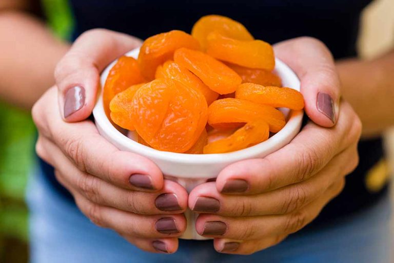 A person holding a small white bowl filled with dried apricots, a plant-based source of iron.