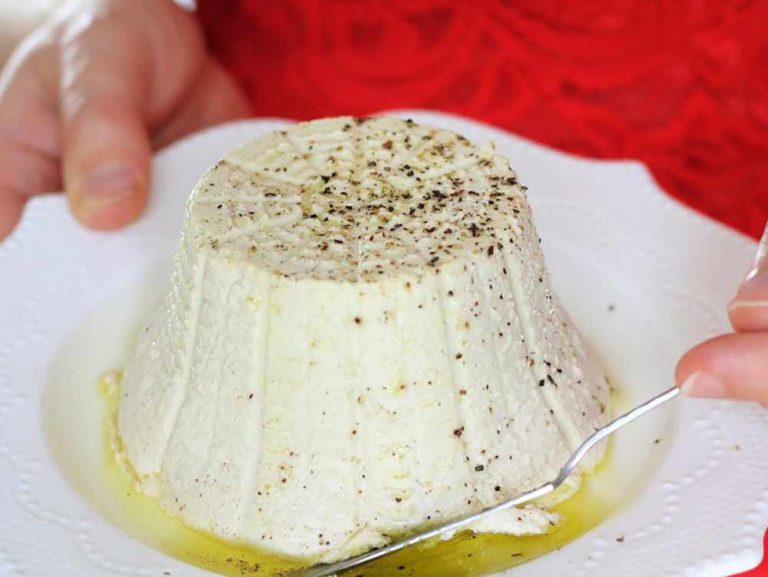 A person holds a white plate featuring a small, round mound of plant-based ricotta topped with cracked pepper and olive oil, perfect for a vegan cheese platter.