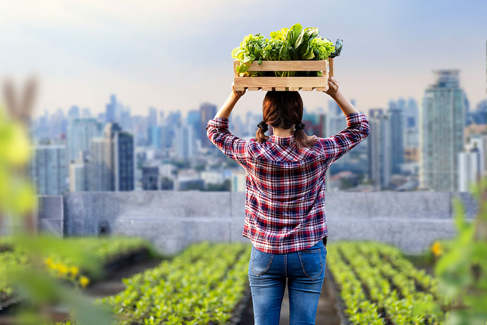 A woman from behind working on an urban rooftop garden overlooks the city.