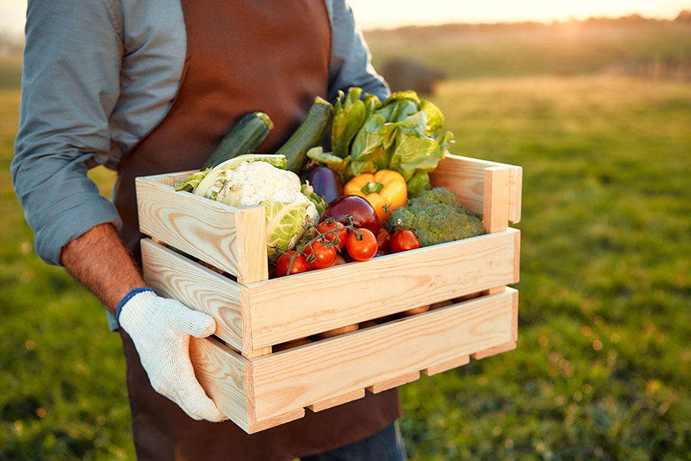 A farmer holds a wooden box of freshly harvested fruit and veg.