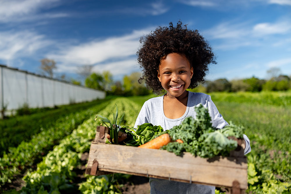 A young girl is harvesting vegetables at a community garden 