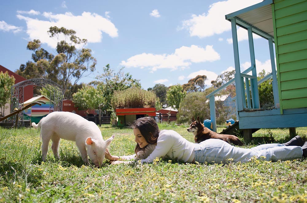 A young woman lays down outside patting a pig, with a dog lying nearby relaxed. It's a beautiful sunny day. 